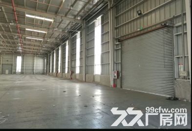 浦东临港物流园13800平高平台仓库出租原房东