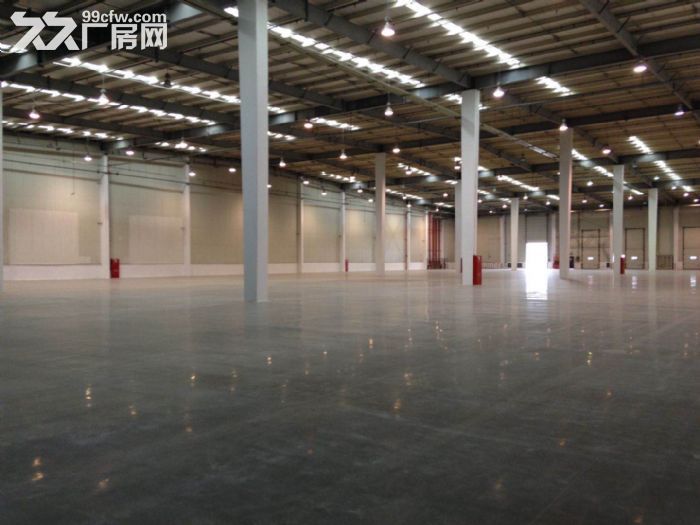 金山亭林独门独院12000平米丙二类平台库 位置好交通方便 - 2