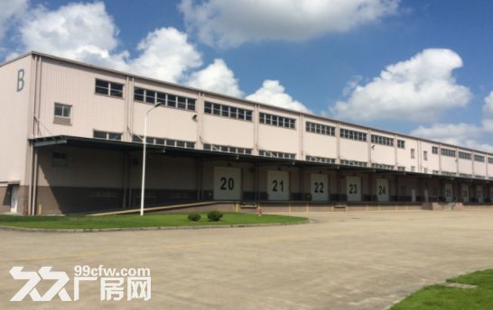 金山亭林原房东直租15000平米丙二类仓库层高10米无公摊 - 3