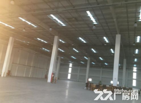 金山亭林独门独院9500平米丙二类平台库 位置好交 - 3