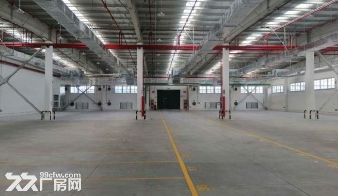 南汇新场高平台仓库出租9000适合快递物流电商丙二类消防 - 3