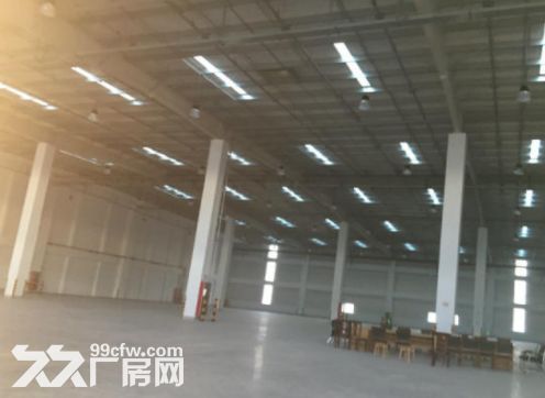 金山亭林独门独院9500平米丙二类平台库 位置好交 - 4