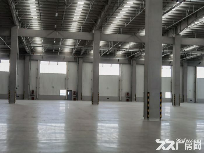 临港物流园丙二类高平台仓库6300平到10000平无公摊出租 - 3