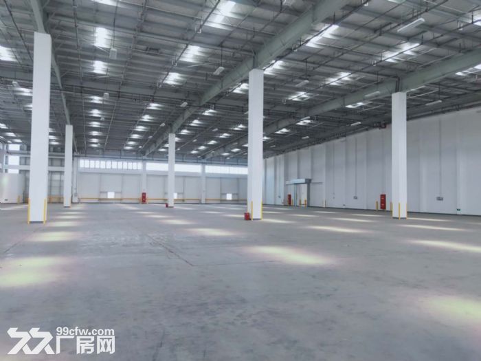 松江工业区原房东直租16000平米无税收 - 4