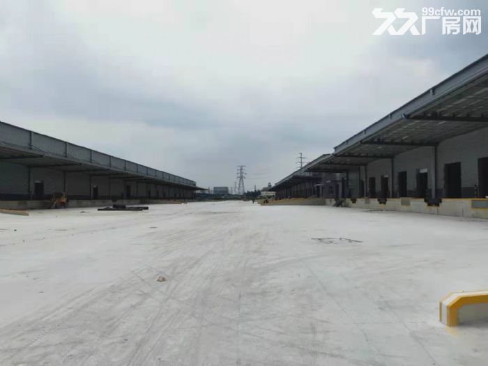 嘉定马陆独门独院13000平适合物流电商无税收 - 3