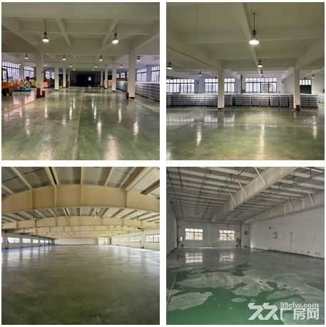 松江出口加工区独门独院厂房出售出租 - 4