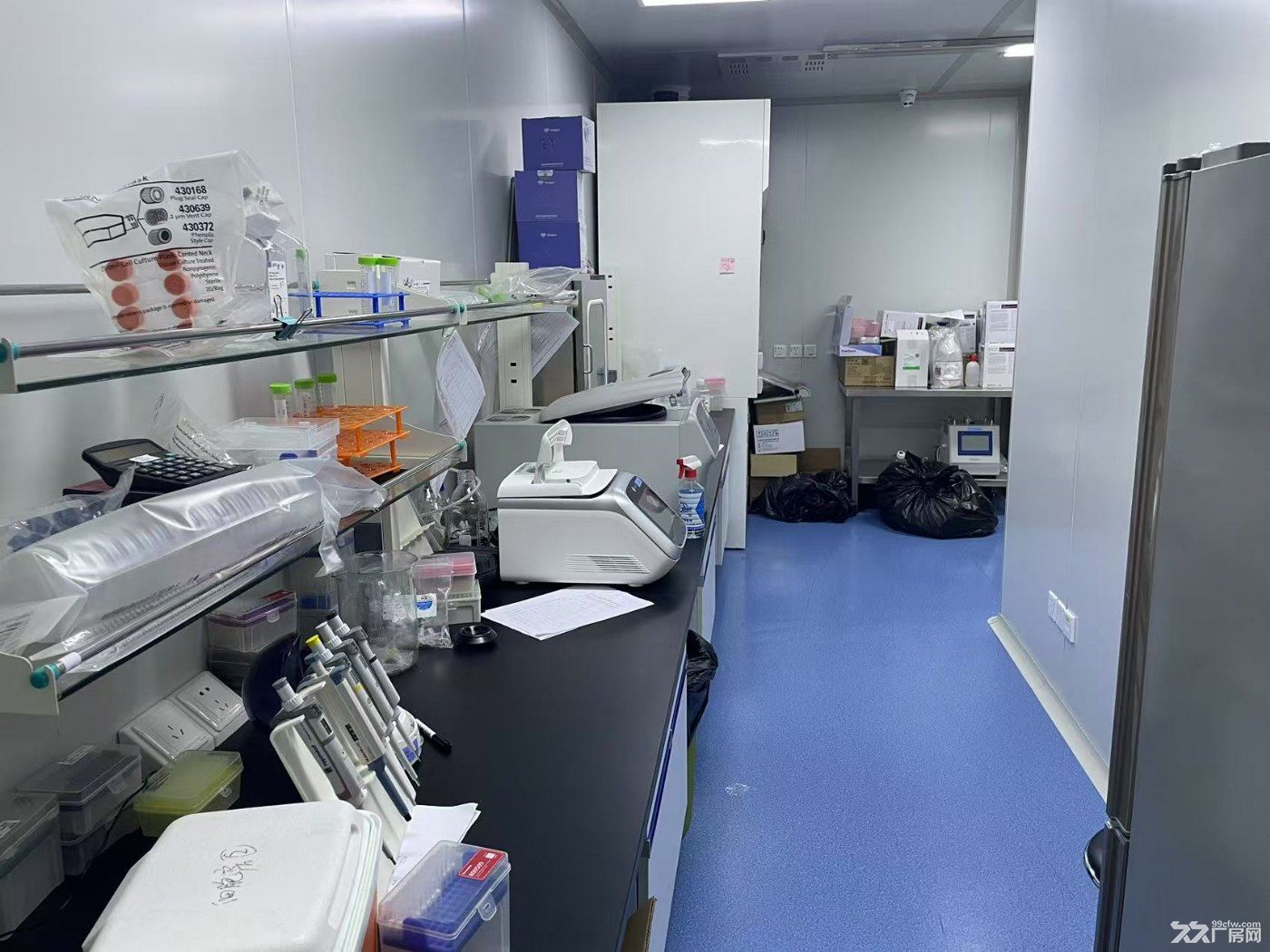 出租上海奉贤带装修生物细胞实验室 化学合成实验室