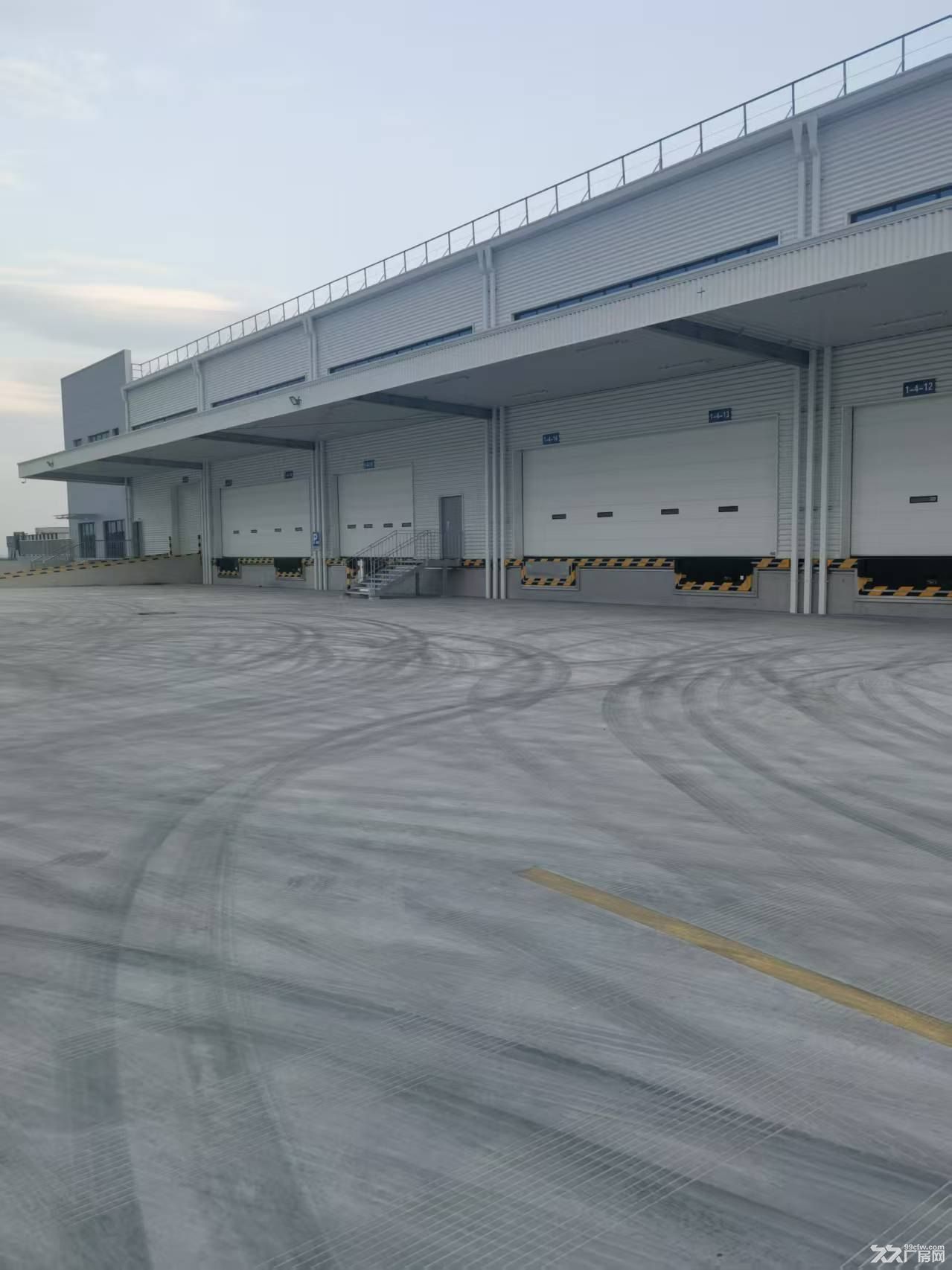 临港国际物流仓库出租5000平丙二类消防月台库带雨棚
