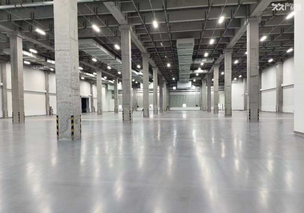 嘉定徐行11000平高标库出租适合电商物流仓储 - 2