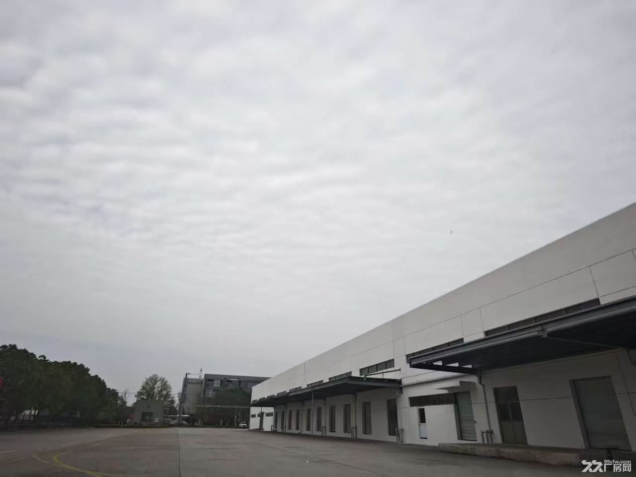 松江新城14000平高标库出租丙二类带雨棚无公摊原业主