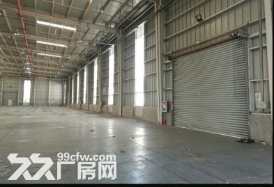 金山高平台仓库出租38000平可分租高10米丙二类 - 4