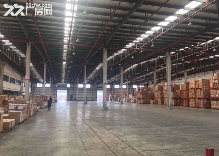 临港新出丙一类高平台仓库15000平高10米带雨棚可分租无税 - 4