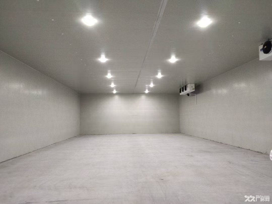 出租奉贤金汇冷库20000平 原房东直租邻近高速 可分租 - 5