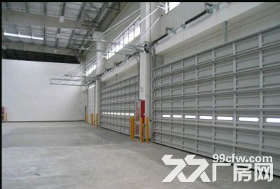 金山高平台仓库出租38000平可分租高10米丙二类 - 3