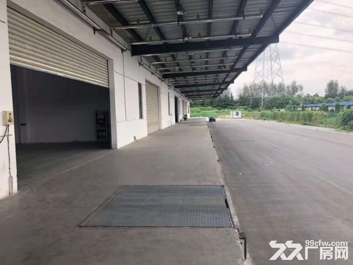 临港新城仓库出租15000平外置月台库可分租丙二类消防高10米