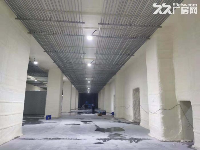 松江大港三边卸货平台冷冻冷藏库15000平无税收要求可分租 - 3