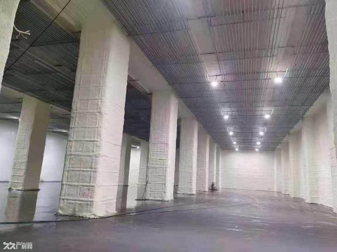 出租奉贤金汇冷库20000平 原房东直租邻近高速 可分租 - 2