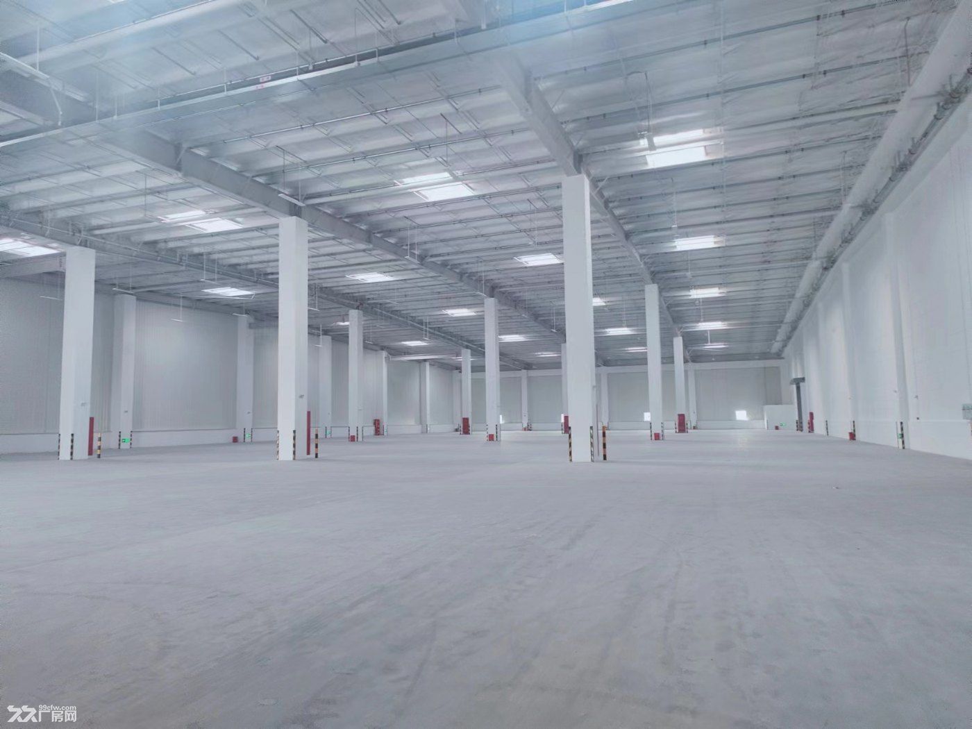 出租金山枫泾工业区独门独院30000平物流仓库 - 4