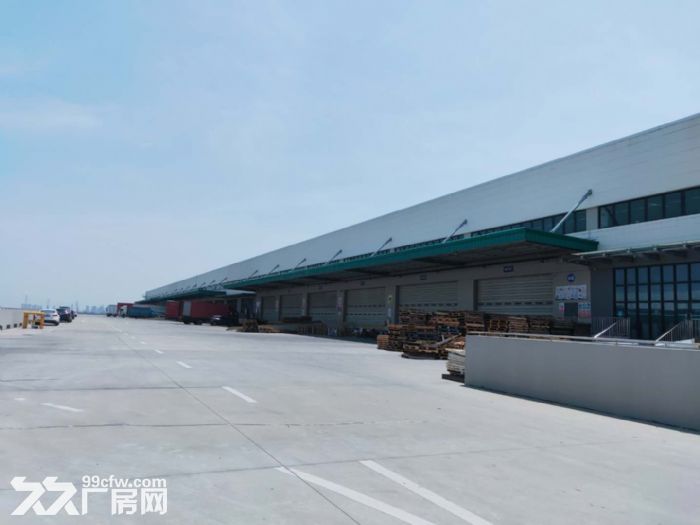 松江工业区新空12000平米丙二类高平台仓库 - 4