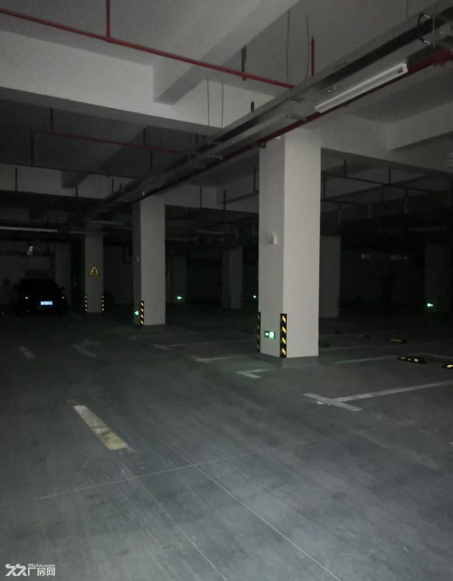 出租:房东直租:青浦工业园区 独门独院纽珑科创园区 老板直租厂房 大车好进 - 6