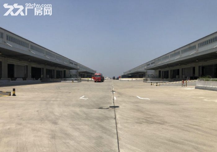临港仓库出租浦东丙二类高平台35000平高10米外场大