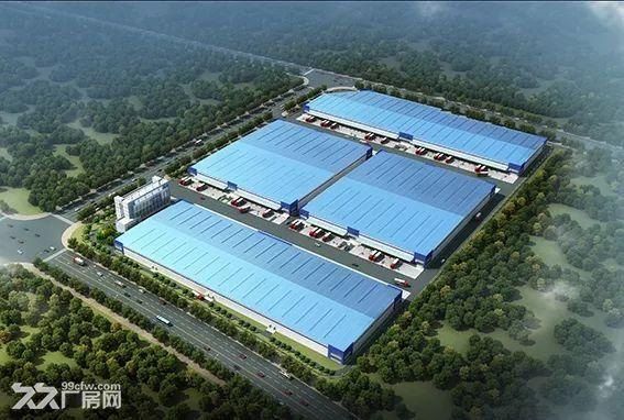 临港高平台仓库出租30000平丙二类仓储物流 城市配送 分拨中心