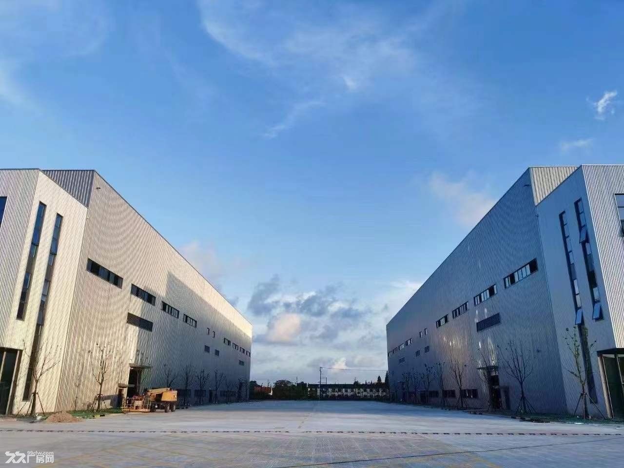 奉贤南桥高平台仓库出租3000平-30000平方米原房东直租 - 5