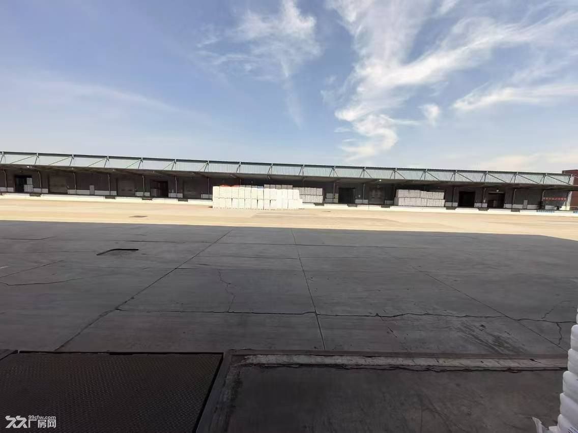 奉贤临港新片区5000平方米-35000平方米高标仓库出租适合仓储物流 - 2