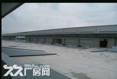 金山枫泾15000平米双层坡道库可分租场地大交通方便