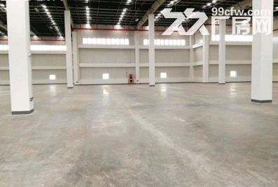 奉贤高标仓库出租42000平临港新片区国际物流跨境电商仓库 - 3