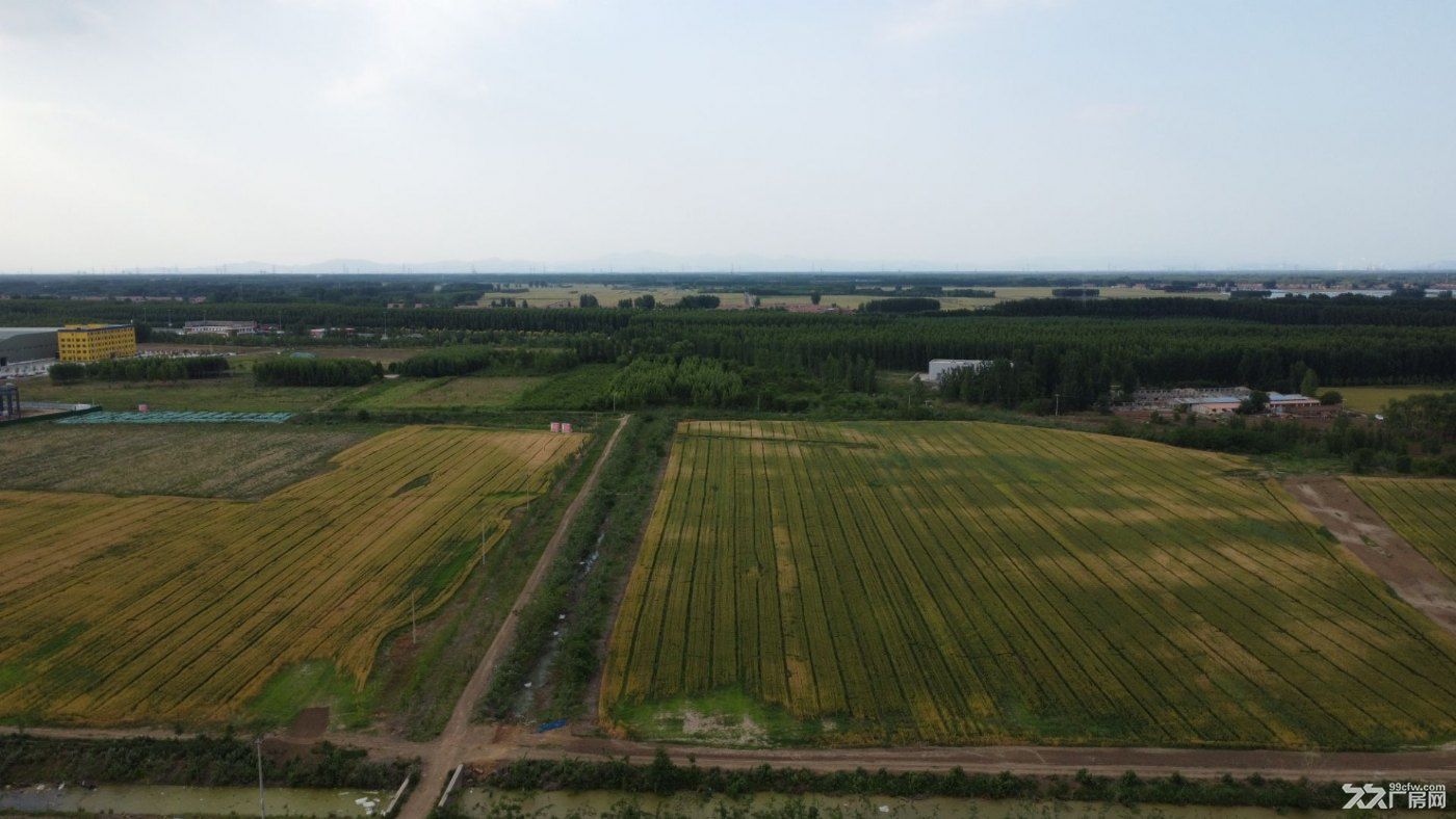 宝坻中关村20亩地和1000平米起工业厂房招商 - 5