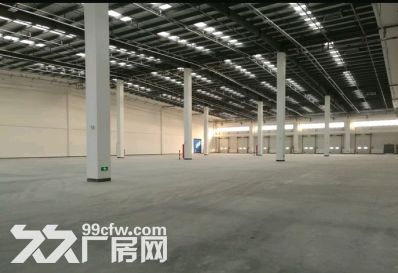 奉贤高标仓库出租42000平临港新片区国际物流跨境电商仓库 - 2