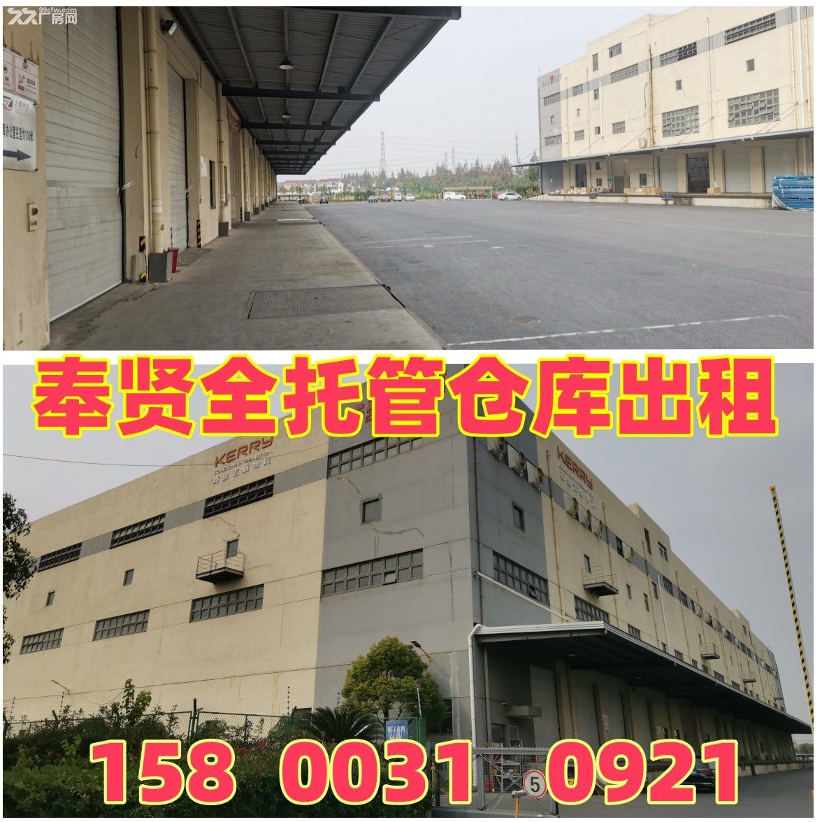 奉贤全托管仓库出租冷库出租 危险品仓库出租 非中介 - 2