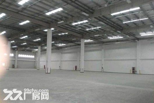 金山枫泾15000平米双层坡道库可分租场地大交通方便 - 2