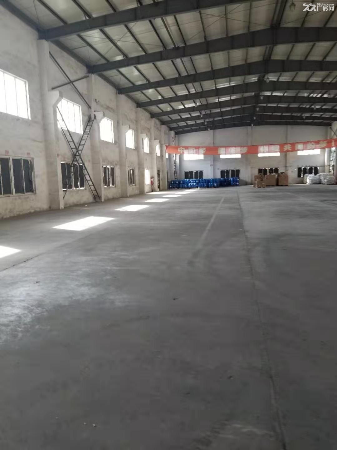 上海仓储物流公司·仓储货运公司·上海仓储运输公司·嘉定区仓库出租托管 - 5