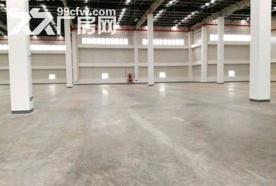 松江仓库出租大港3万平丙二类外置卸货平台层高10.5米 - 3