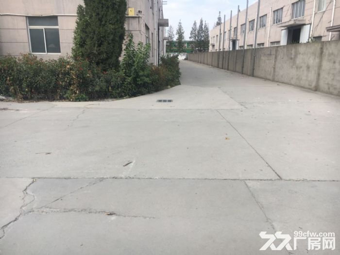 【白鹤】鹤祥路附近独门独院3800平104绿证 - 2