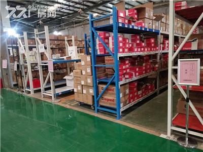 上海净化器仓库托管招租 大型仓库 画线分区清晰