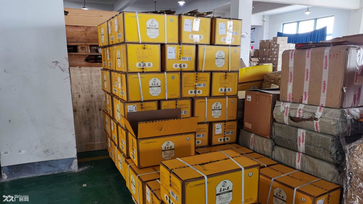 上海净化器仓库托管招租 大型仓库 画线分区清晰 - 6