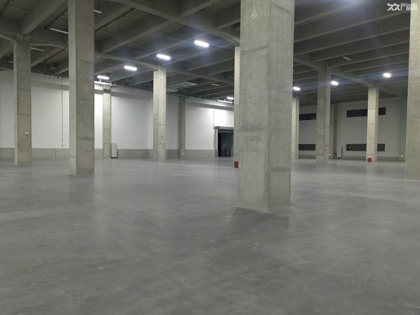 闵行老闵行出租高平台仓库32000平 原房东直租可分租适合仓储冷链电商物流 - 6