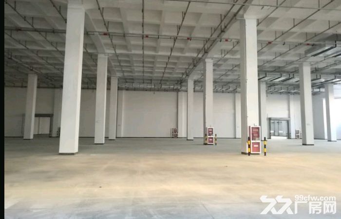 宝山杨行高平台仓库出租9500平 - 4