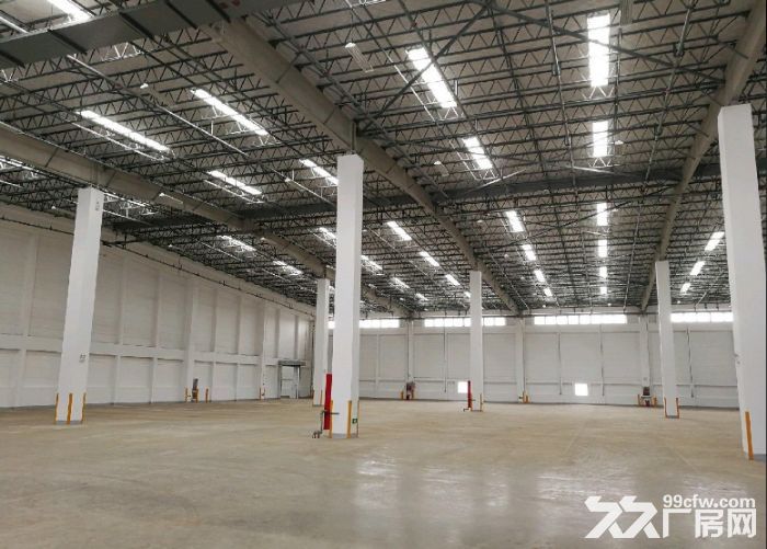 嘉兴海盐港区丙二类高平台仓库5万平高10米 - 5