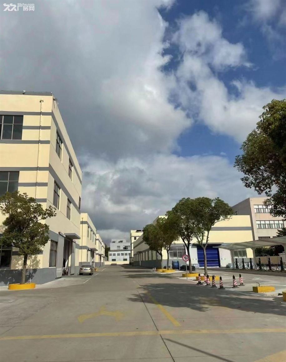 房东青浦新空910平厂房 仓库 靠近赵巷地铁 位置佳 形象好 - 6