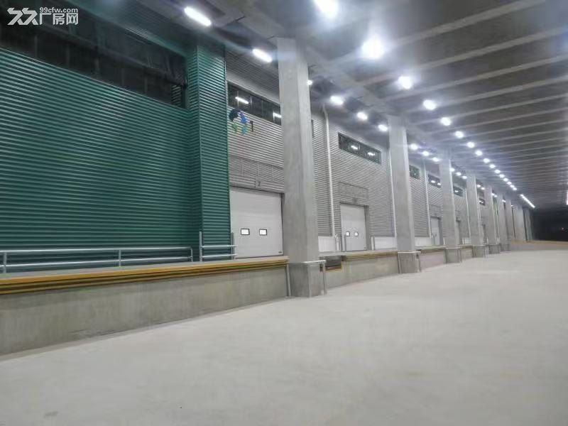 青浦工业园区单层19000平高标库出租丙二类带平台雨棚原业主无公摊
