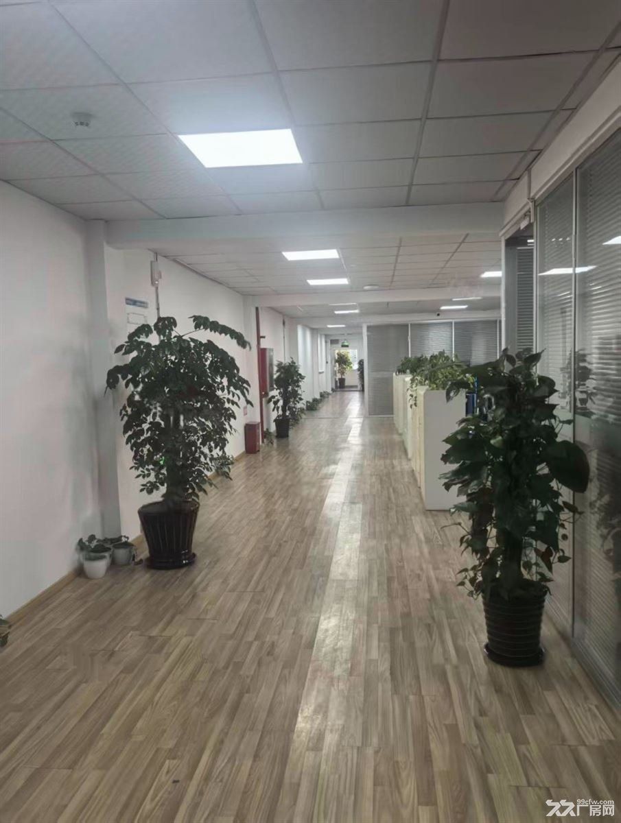 房东直租:上海嘉定厂房火车头厂房大单层厂房配办公楼多口可进打车 - 3