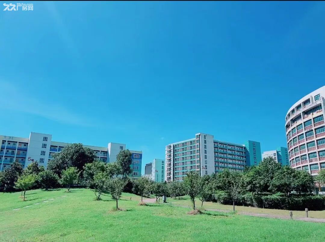 小面积57平,2500元/平/月;精装修拎包办公,国金中心东沙湖附近 - 4