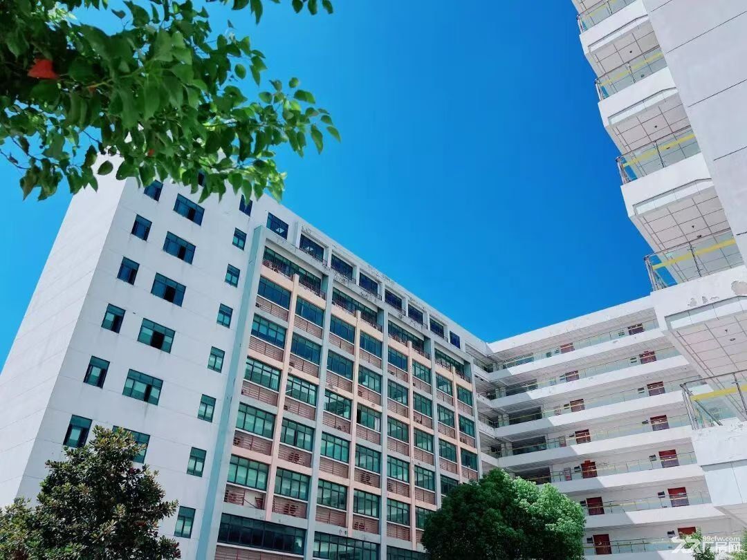 精装修小面积办公室出租,车位充足,东沙湖天然氧吧,中环东线快速路旁,价格面议。 - 2