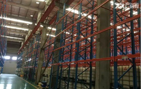 临港自贸工业区50000平方米全单厂房仓库出租 - 5
