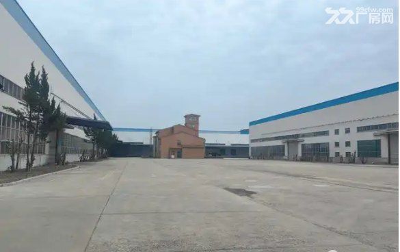 临港自贸工业区50000平方米全单厂房仓库出租 - 3