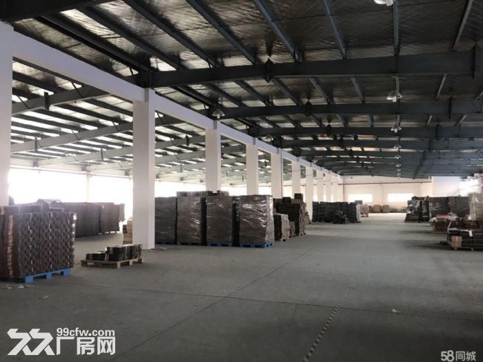 个人.江宁开发区总面积30000平米可分租.单层钢结构仓库 - 5